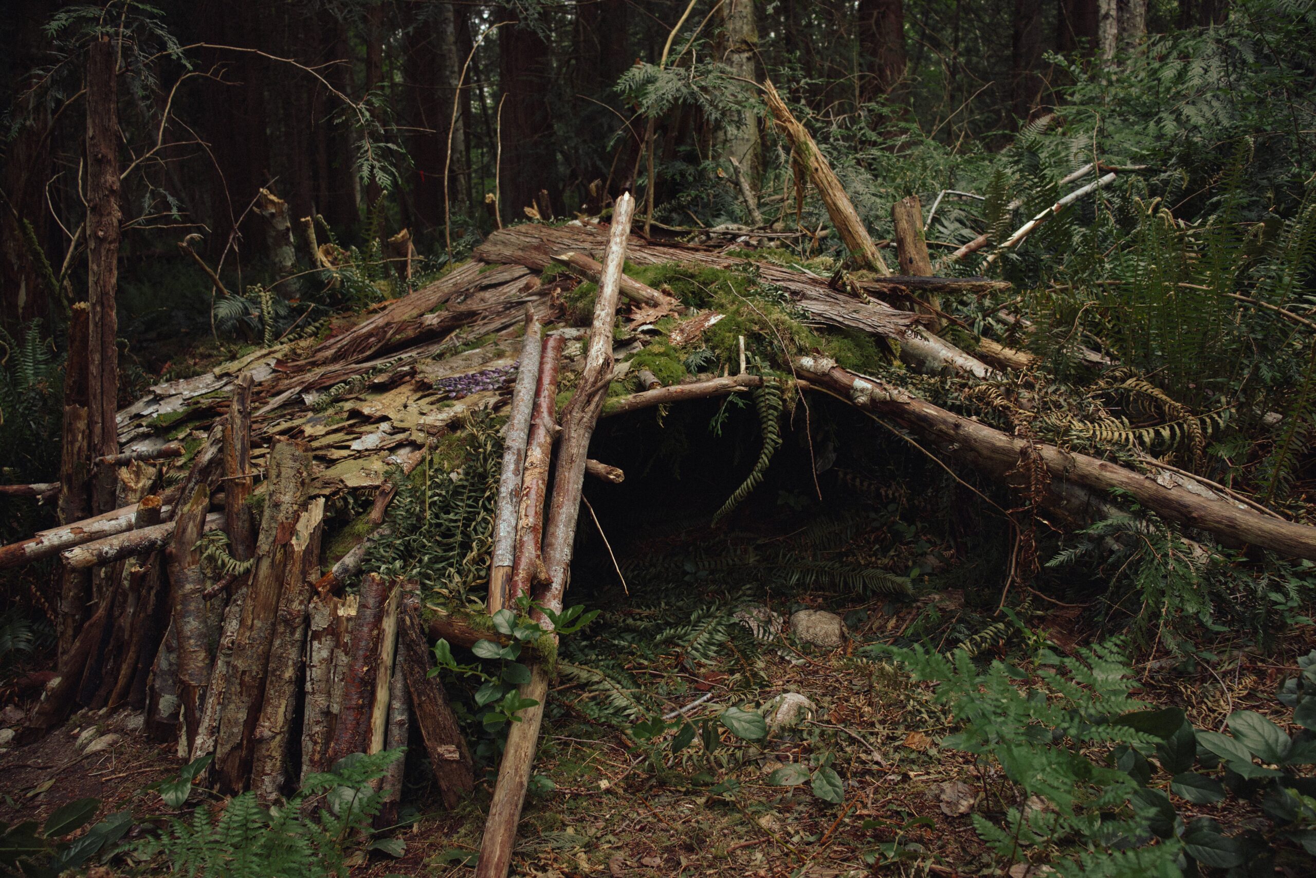 Mastering the Art of Long-Term Survival Shelters